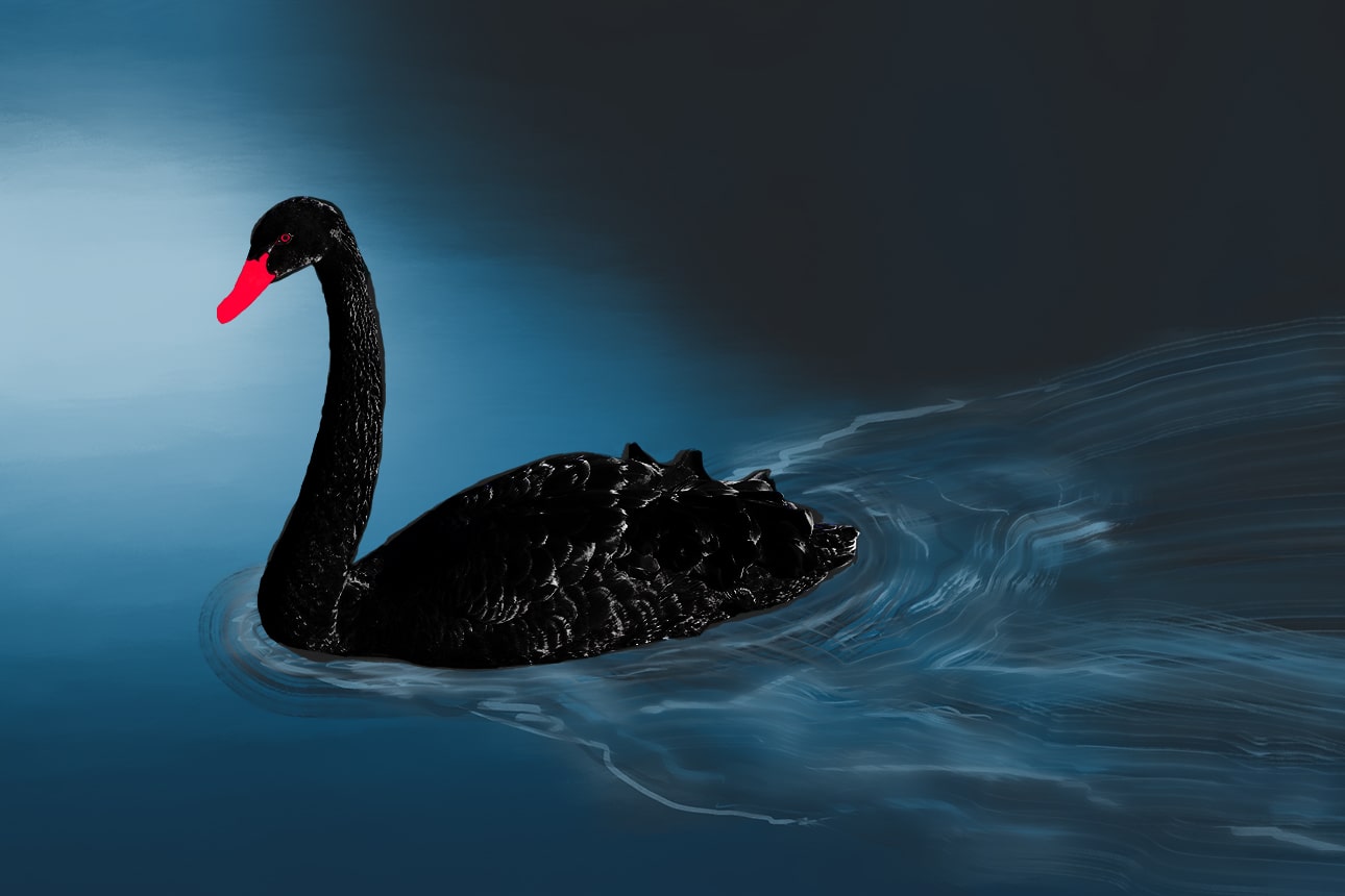 COVID-19, el ‘cisne negro’ dentro de la nueva normalidad