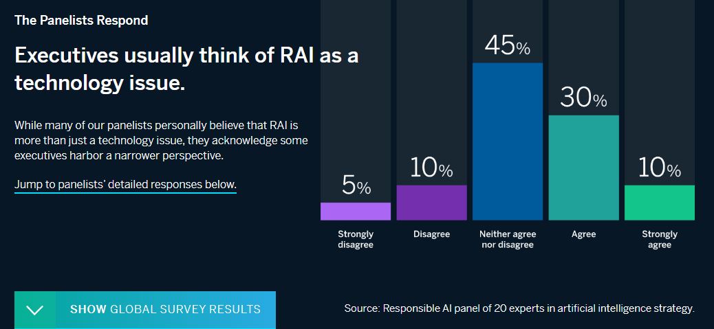 rai-es-un-problema-tecnologico