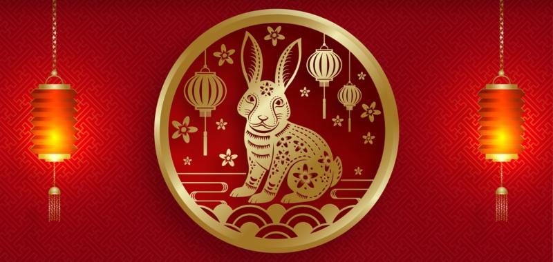 Año Nuevo Chino 2023: Características del líder conejo