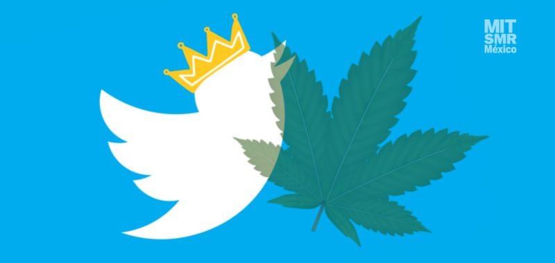 Twitter da un toque verde a su publicidad: ¡Ahora permite promocionar la marihuana!
