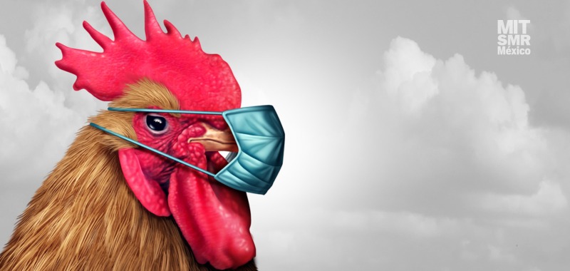 Así es como la tecnología está contribuyendo a la prevención de la gripe aviar en humanos