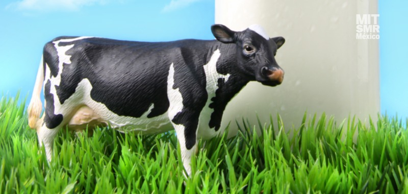 Sostenibilidad en un vaso de leche, ¿cómo procurar el bienestar animal?