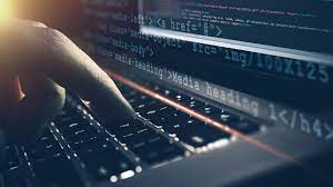 2. Desarrollador de software