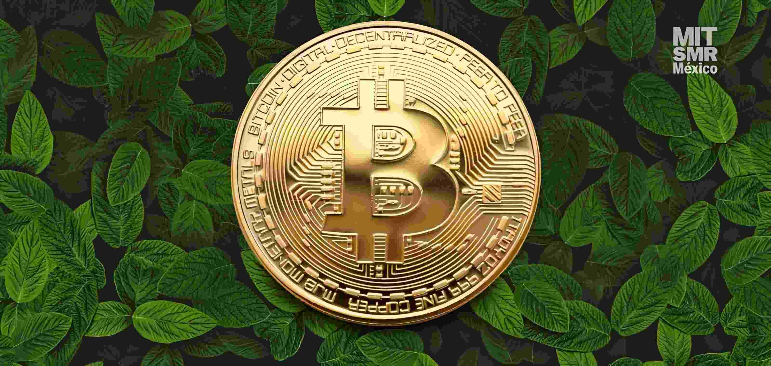 Bitcoin, el rey de las criptomonedas que se esfuerza por ser más verde
