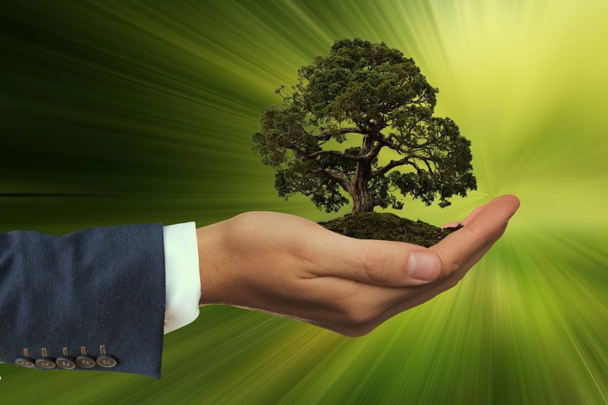 2. Expert@ en sustentabilidad