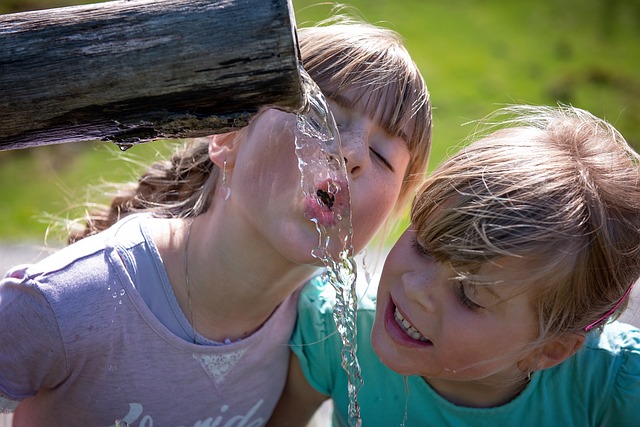 6. Se estima que es necesario tomar alrededor de 2 litros de agua al día