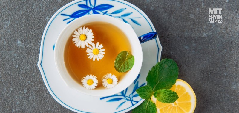 3 beneficios del té de manzanilla para tu productividad