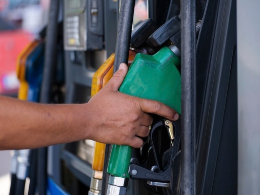 8. Científicos investigan otras formas de generar biodiesel