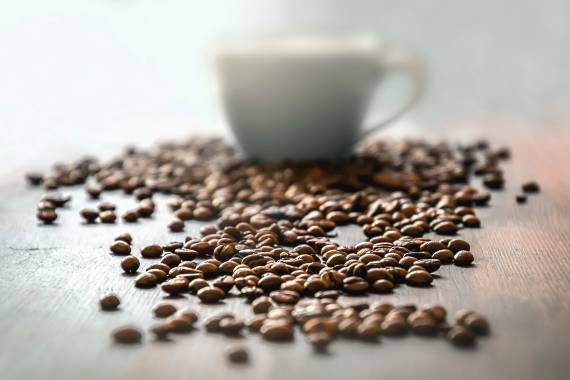 5. Cafetería ecológica