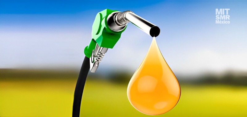 Día Internacional del Biodiesel: 8 curiosidades del combustible verde