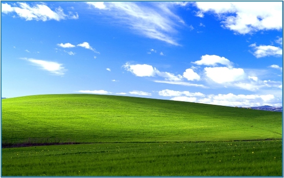 8. Windows XP tenía como fondo de pantalla la fotografía más vista del mundo