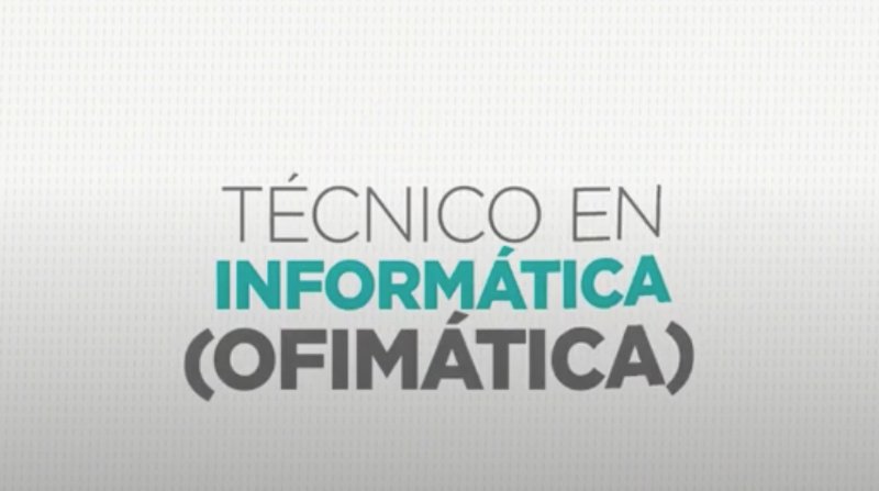 2. Técnico en informática (Ofimática) 