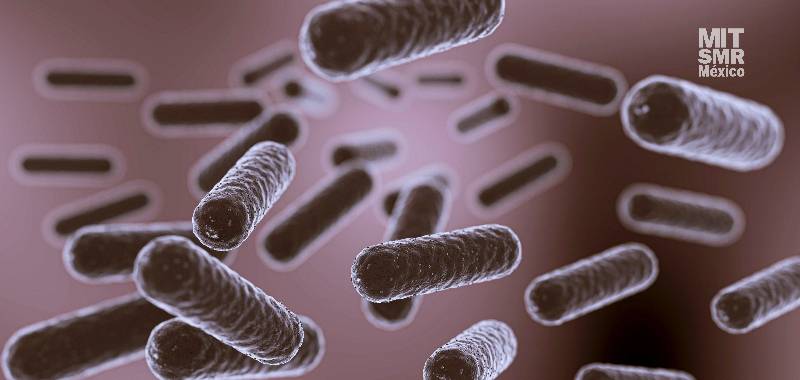 bacteria come carne el golfo alerta estados unidos