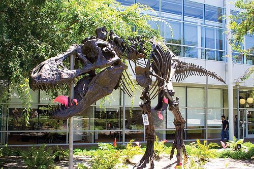 dinosaurios en el jardin de google