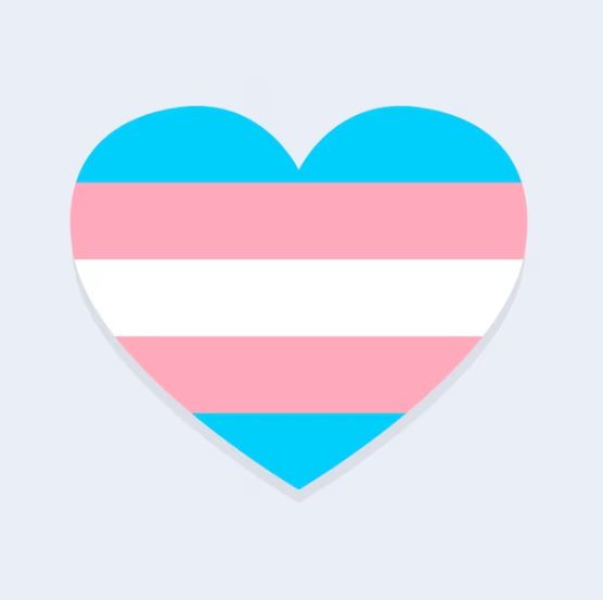 bandera comunidad trans