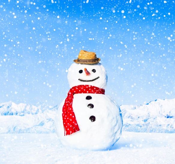 8. La receta para hace run muñeco de nieve perfecto sí existe