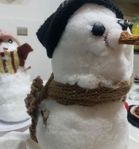 5. Tito es un muñeco de nieve que tiene más de una década de existir