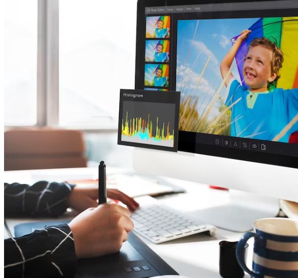 5. Diseñador gráfico