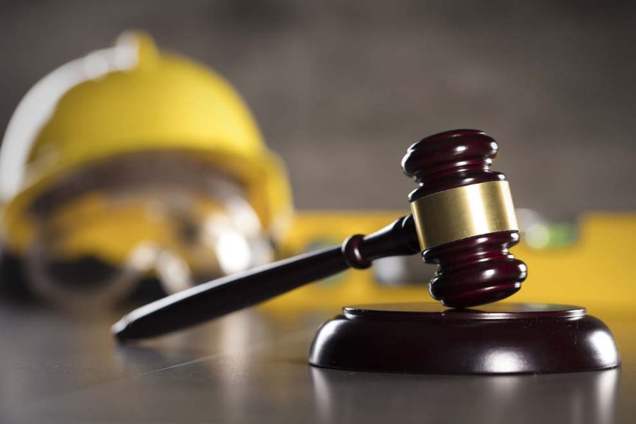 5. Consagró ampliamente los derechos laborales