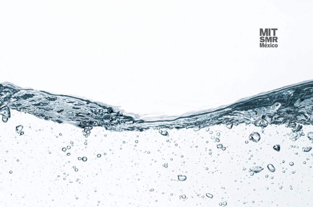 hacer agua de la niebla en sequia