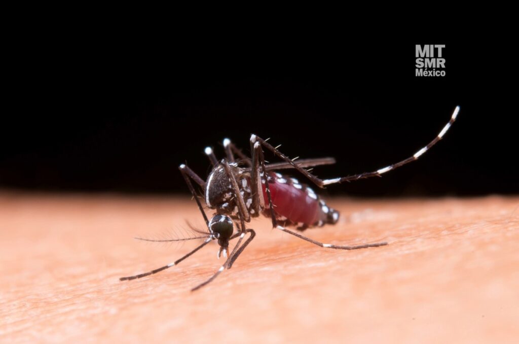 que es el dengue y como se contagia