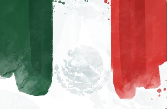 7. REALIDAD: Los taches o los círculos son los únicos signos que representan un voto válido