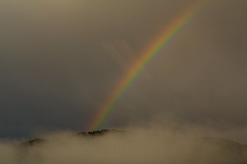 5. Los arcoíris no aparecen únicamente en el cielo