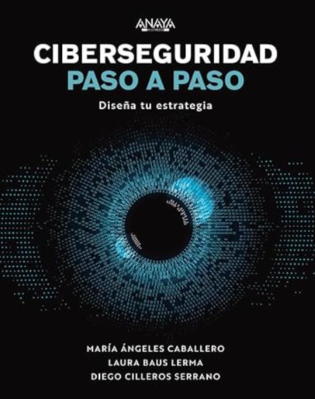 4. Ciberseguridad paso a paso: Diseña tu estrategia