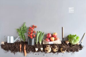 5 estrategias para comer mejor, salvar al planeta y ser más productivo