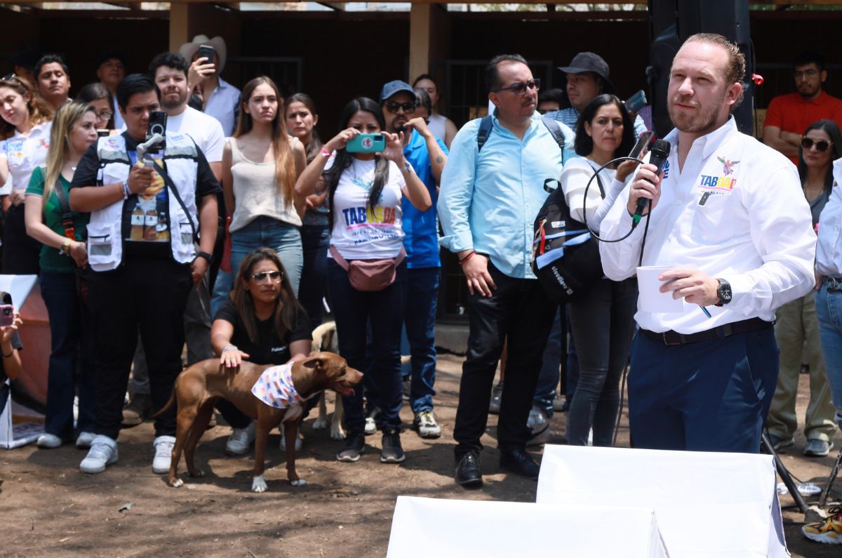 Santiago Taboada promete ‘mano dura’ contra maltrato animal