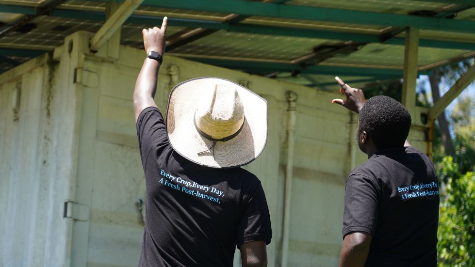 1. Cámaras frigoríficas comunitarias que funcionan con luz solar