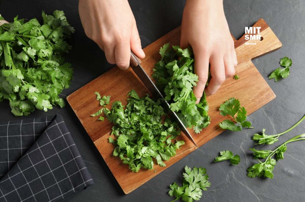 por que este tan caro el cilantro te explicamos las razones