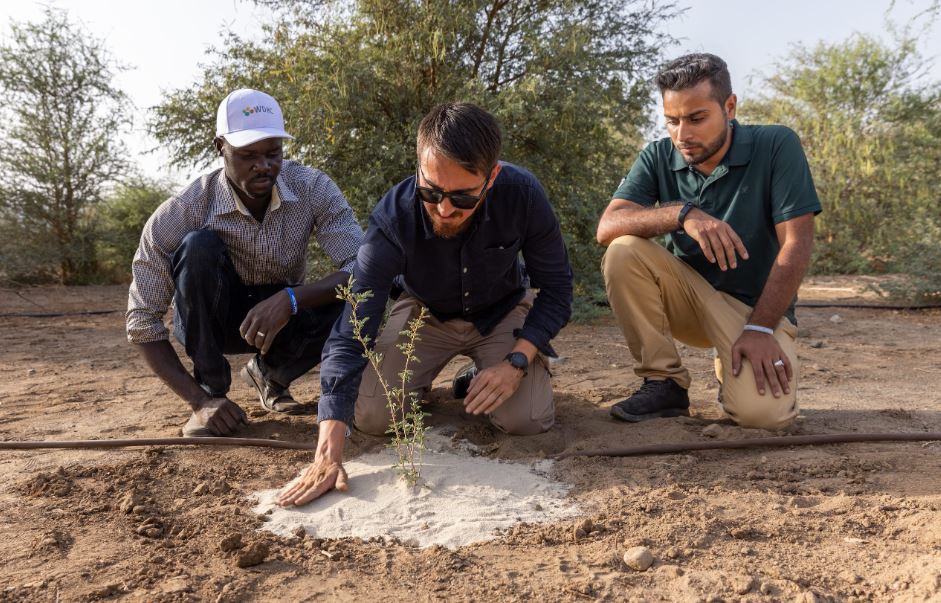 7. Arena repelente al agua