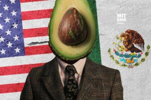 The Politics of Avocados and the Economic Ties of the U.S. and Mexico