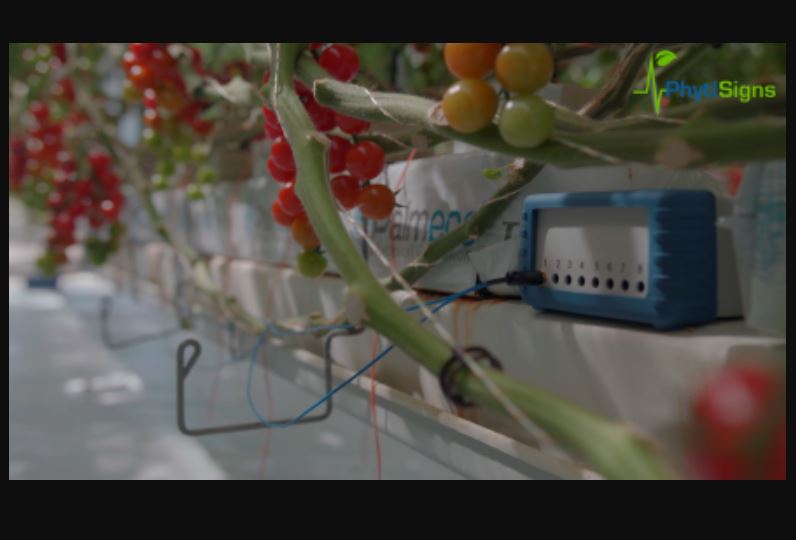 9. Sensores IA para amplificar señales aléctricas