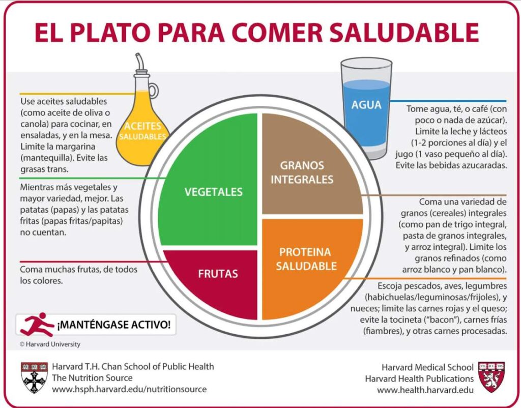 Plato Harvard, el método para comer más saludable en la oficina 0