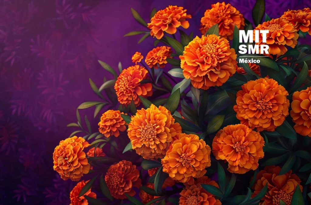 cempasuchil-chino-o-mexicano-cinco-senales-para-diferencialo-facilmente