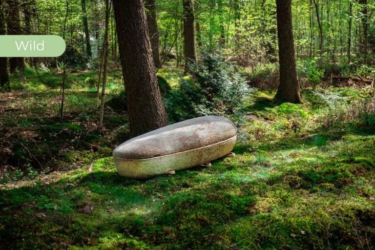 Ataúdes biodegradables, un regreso a la tierra con propósito 0