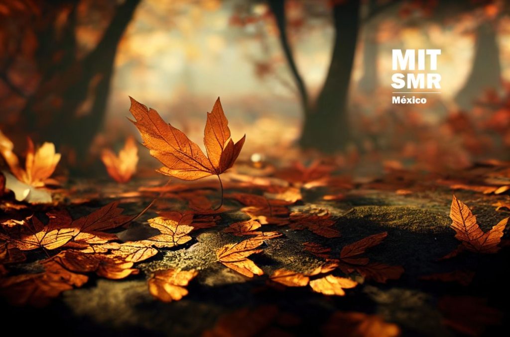 seis-datos-curiosos-del-equinoccio-de-otono-que-quiza-no-conocias