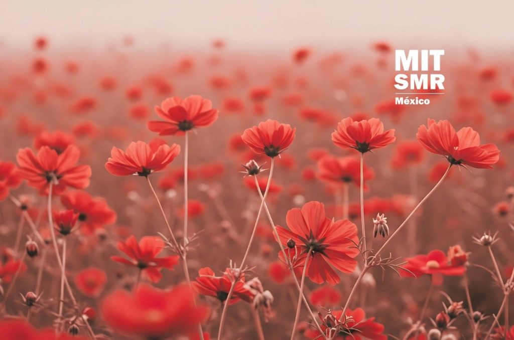 sindrome-de-la-amapola-alta-de-silenciarse-a-brillar-en-la-organizacion