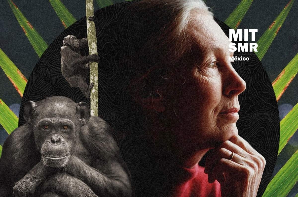 Lo que la trayectoria de Jane Goodall nos enseña sobre el apoyo y el patrocinio