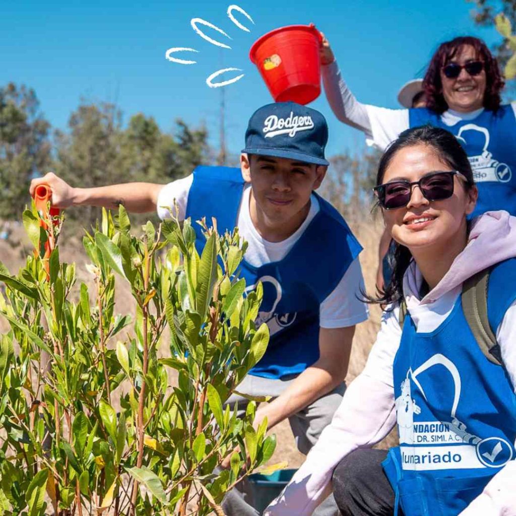 3 claves del Dr. Simi para ser una marca con impacto social 0