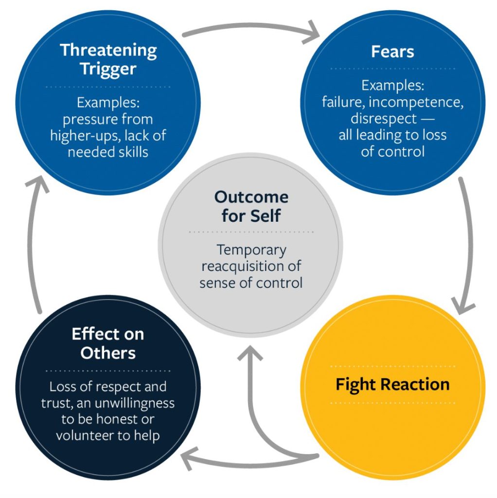 Cuando el miedo de un líder se convierte en ira, ¿cómo actuar en equipo? 0